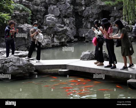 上海哪裏有魚塘釣魚：在尋找魚塘之際，我們不妨細究一下上海的生態環境與鄉村文化。